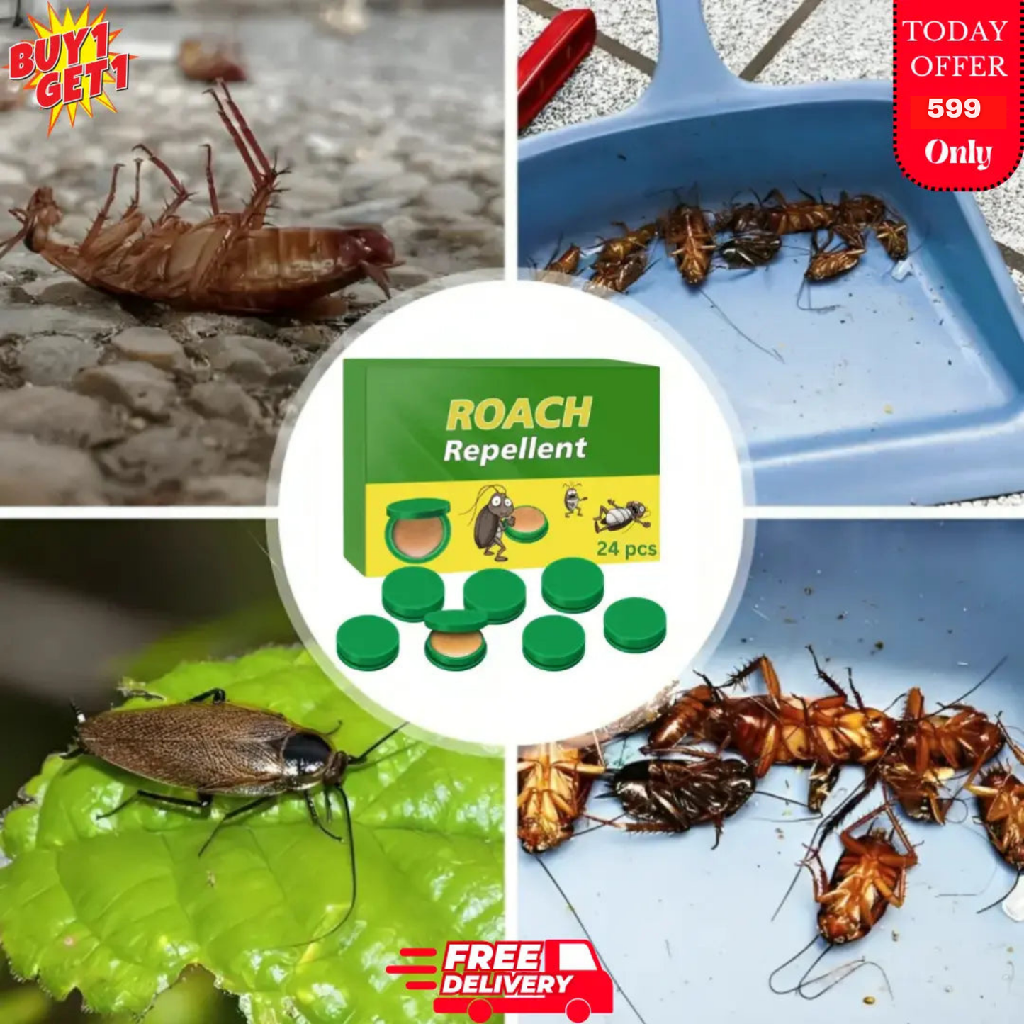 Cockroach Control Bait Killing Gel (24 PCS)⭐️⭐️⭐️⭐️⭐️4.7/5 (2100+ REVIEWS)`